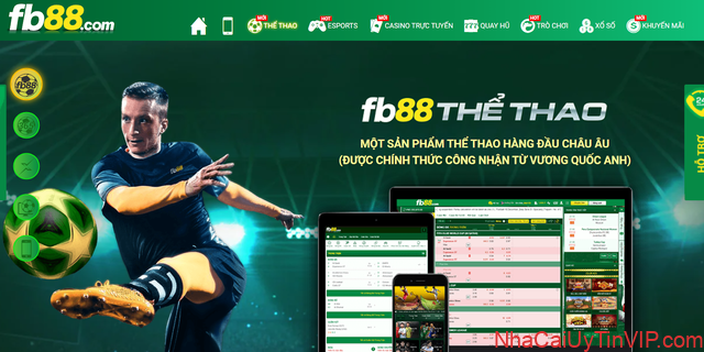 Thị trường cá cược thể thao đa dạng tại FB88 Sportsbook